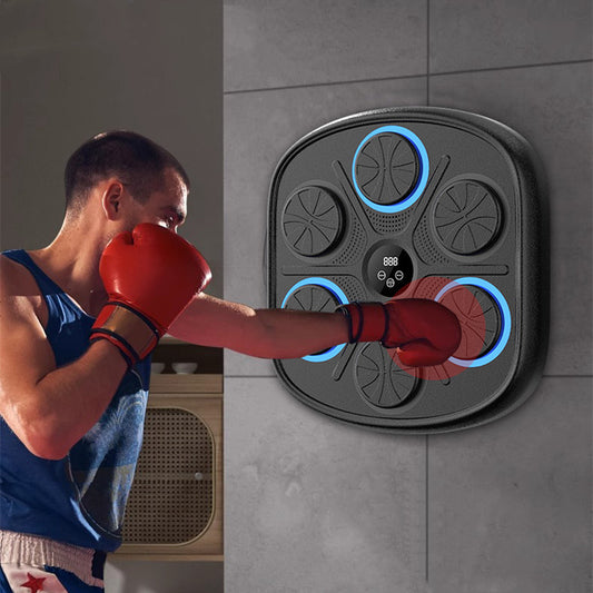 Boxing Target Training Wall